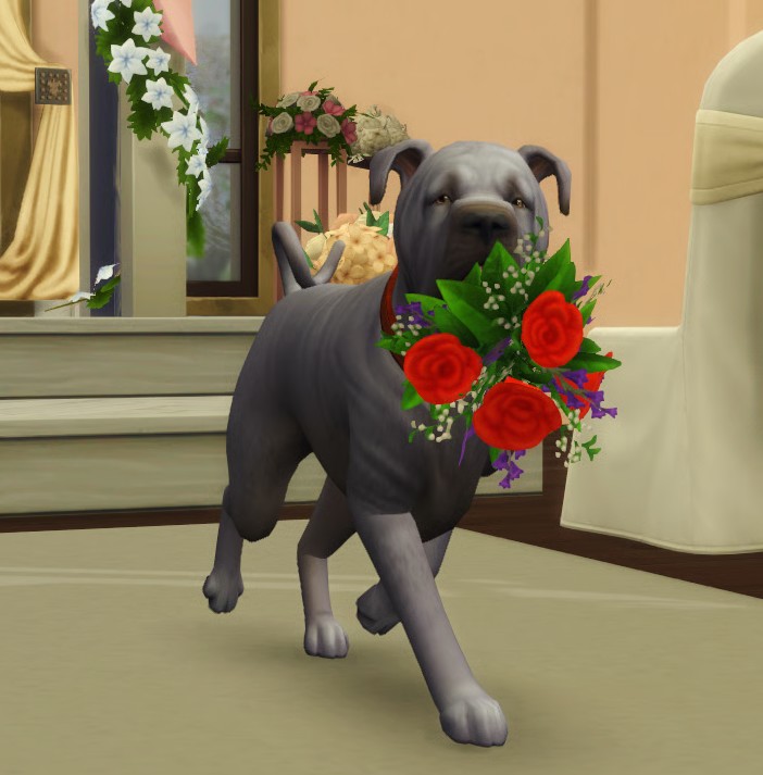 Mod sims 4 Paws & claws ChippedSim traduction fr