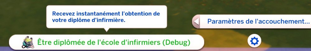 Code diplome école infirmière Sims 4