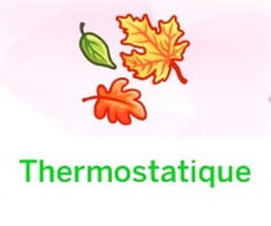 Thermostatique