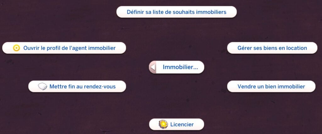 Interactions sociales agent immobilier