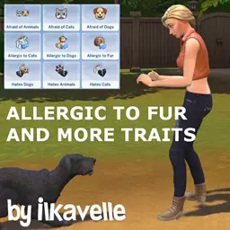 Mod ilkavelle allergie animaux