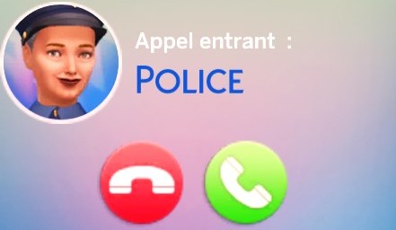 Appel entrant police